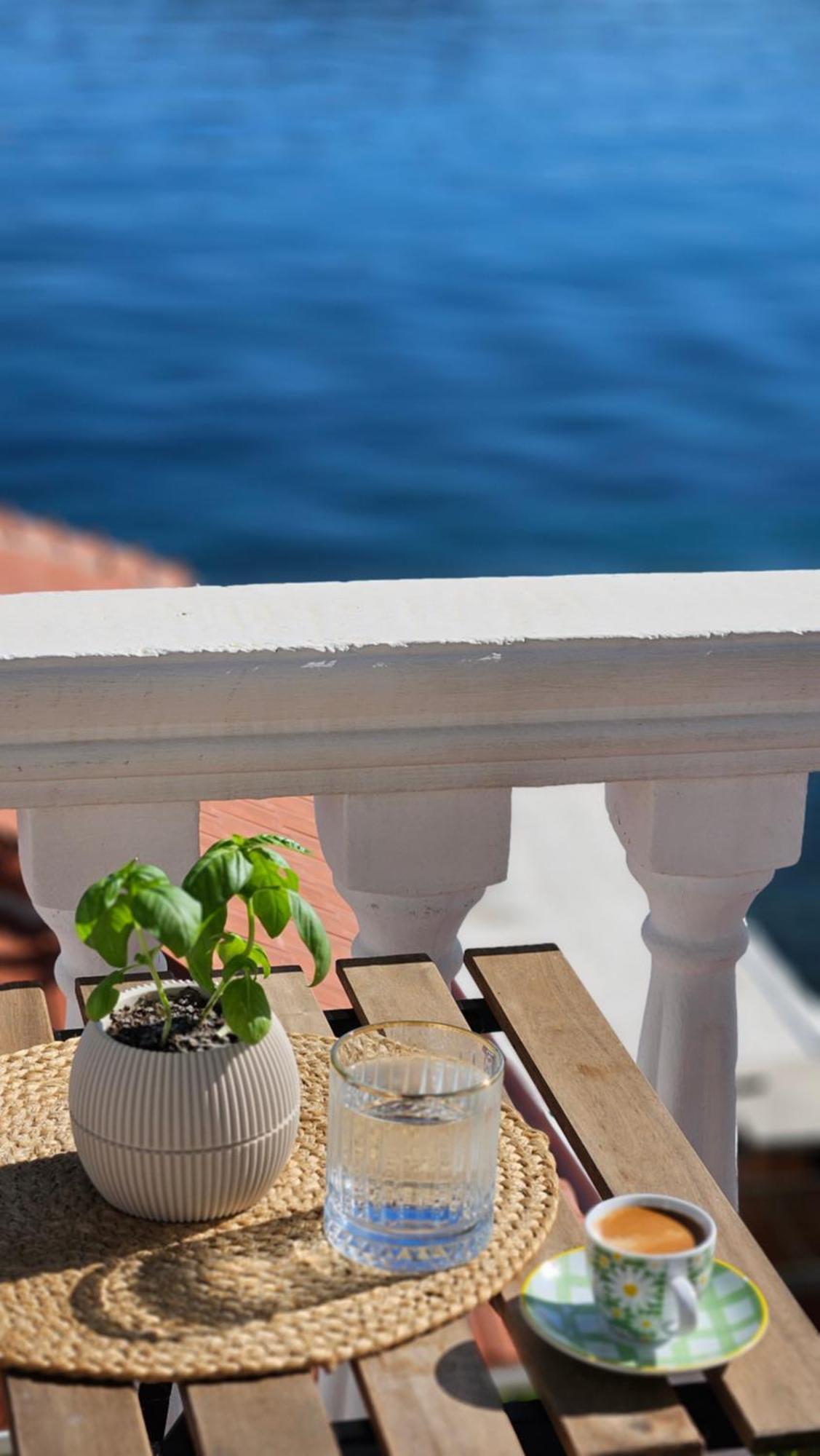 La Casa Di Sonja Daire Tivat Dış mekan fotoğraf
